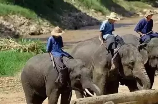 ȫֹͣľĿľذӭqr