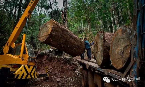 ľM(jn)؛r(ji)ϝq ذr(ji)Ҫq