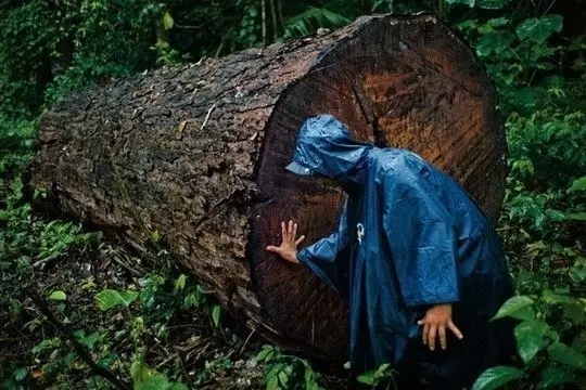 tľ猢_L(fng)֦