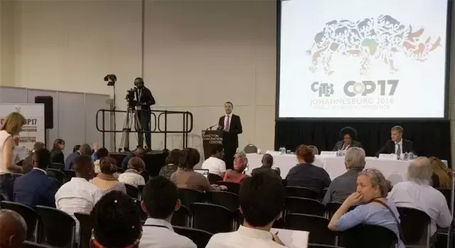 CITESȫS̴ٴ̴ͻlΣ