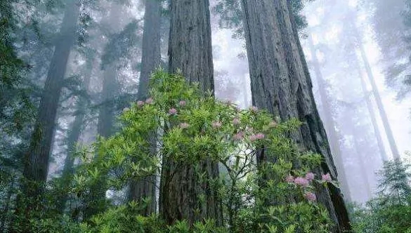 xذ山ӲľƷp һ׌@ϲ