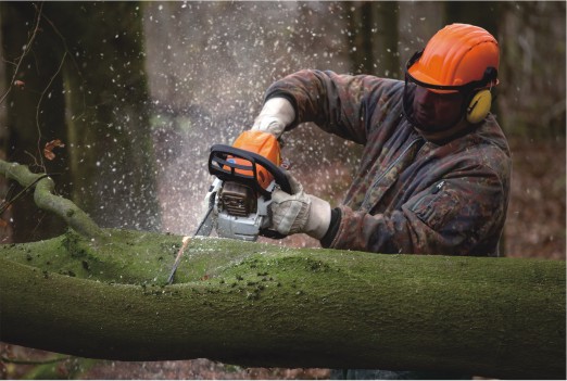 x(sh)ľ?z)ذ?(wn)Դڌ(du)Ʒ|(zh)ľ(x)ѿ